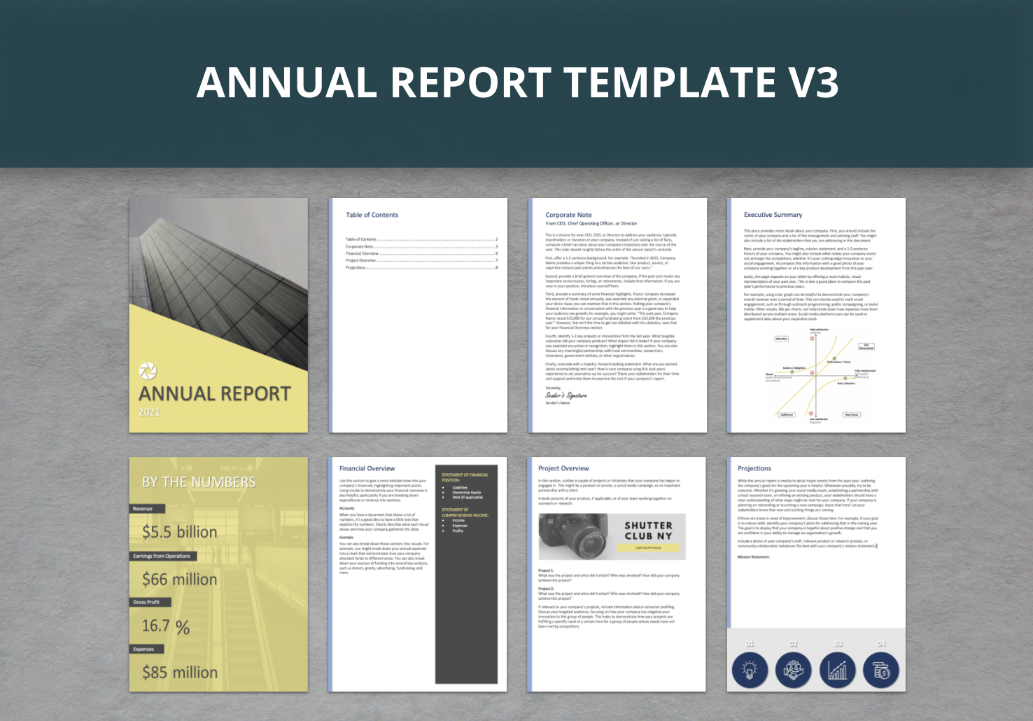 Annual Report template v3